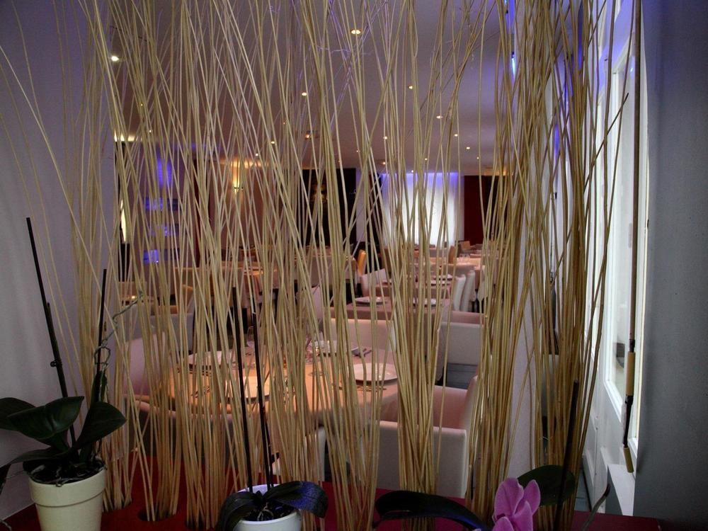 Logis Hotel Restaurant Le Castel Fleuri Saint-Jean-en-Royans Eksteriør bilde